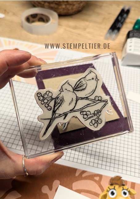 stampin up wintervögel winterliche wipfel 01