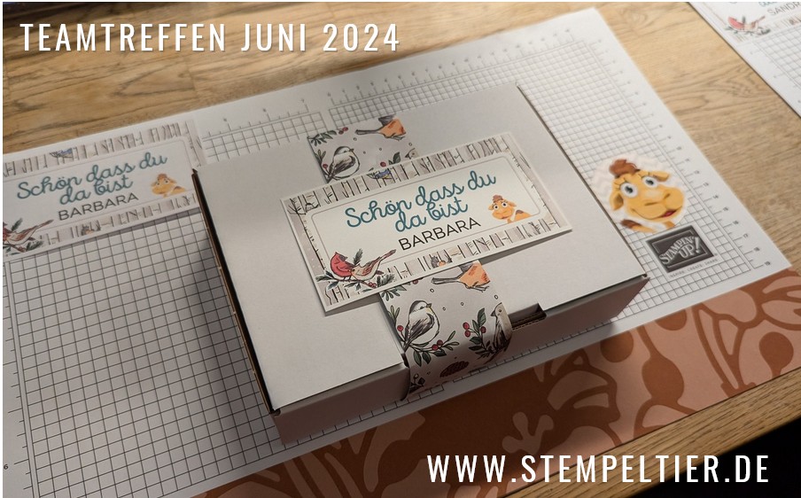 teamtreffen stampin up demo stempetlier creativity now