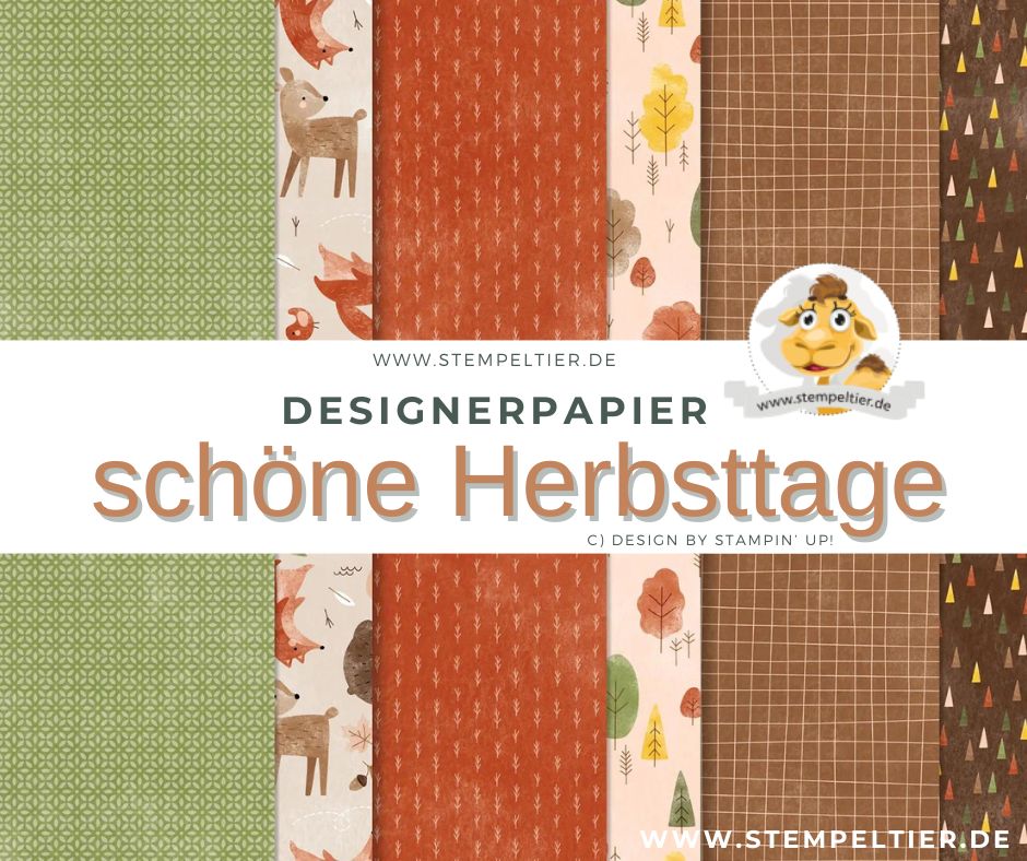 Designerpapier winter 2024 schöne Herbsttage stampin up