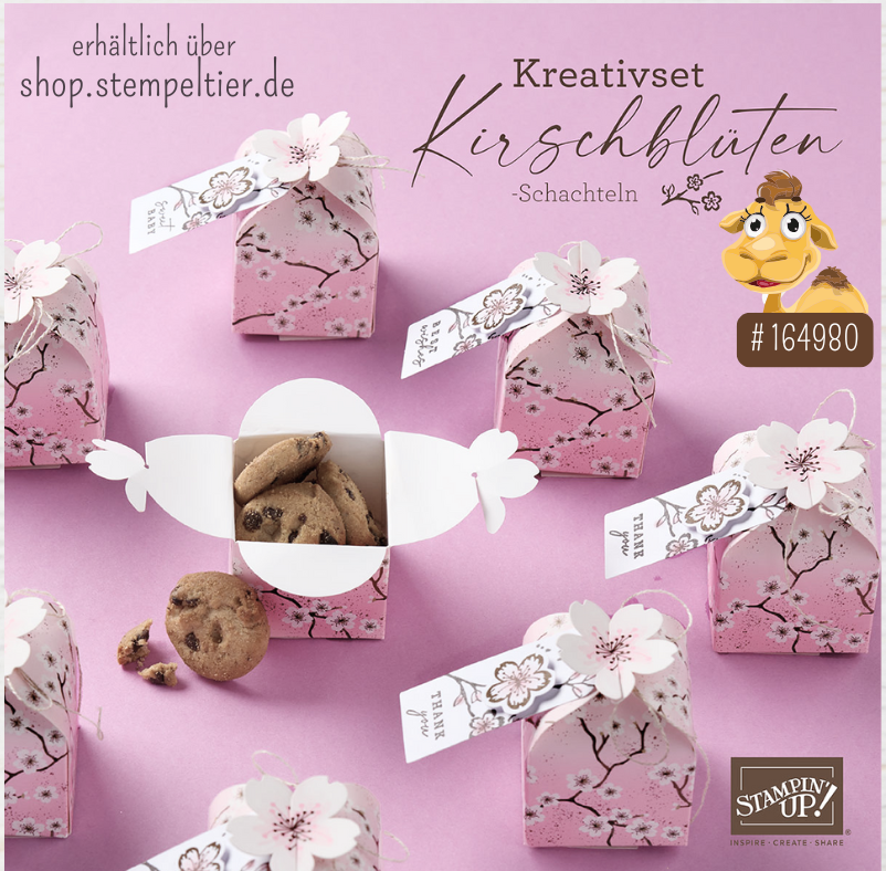 kirschblüten kit stampin up schachteln cherry blossoms taufe kommunion