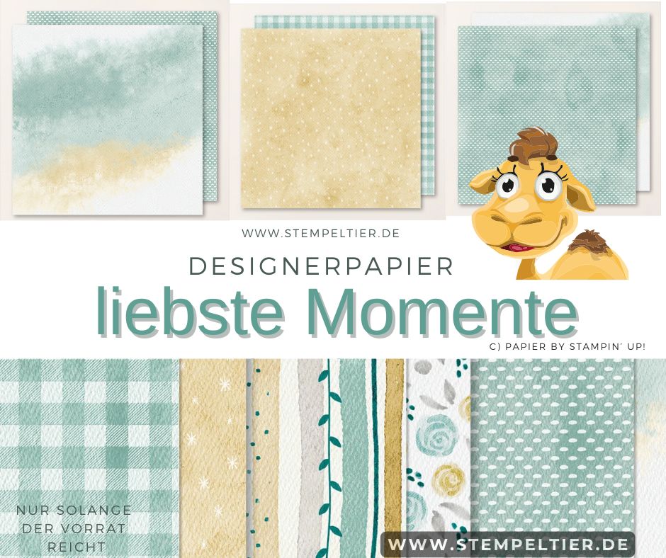 stampin up Designerpapier online liebste Momente maritim möwe