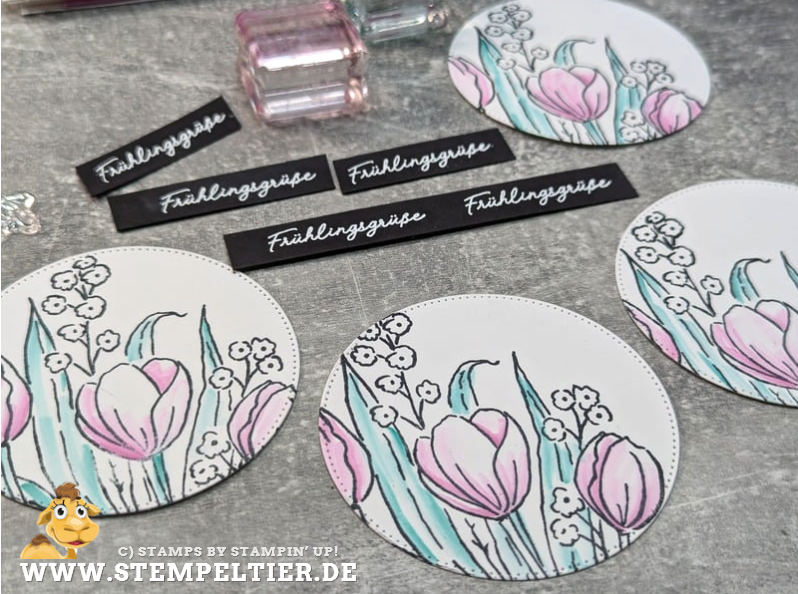 stampin up frühling mixed florals tulpen stempeltier petunienpink mischstifte colorieren